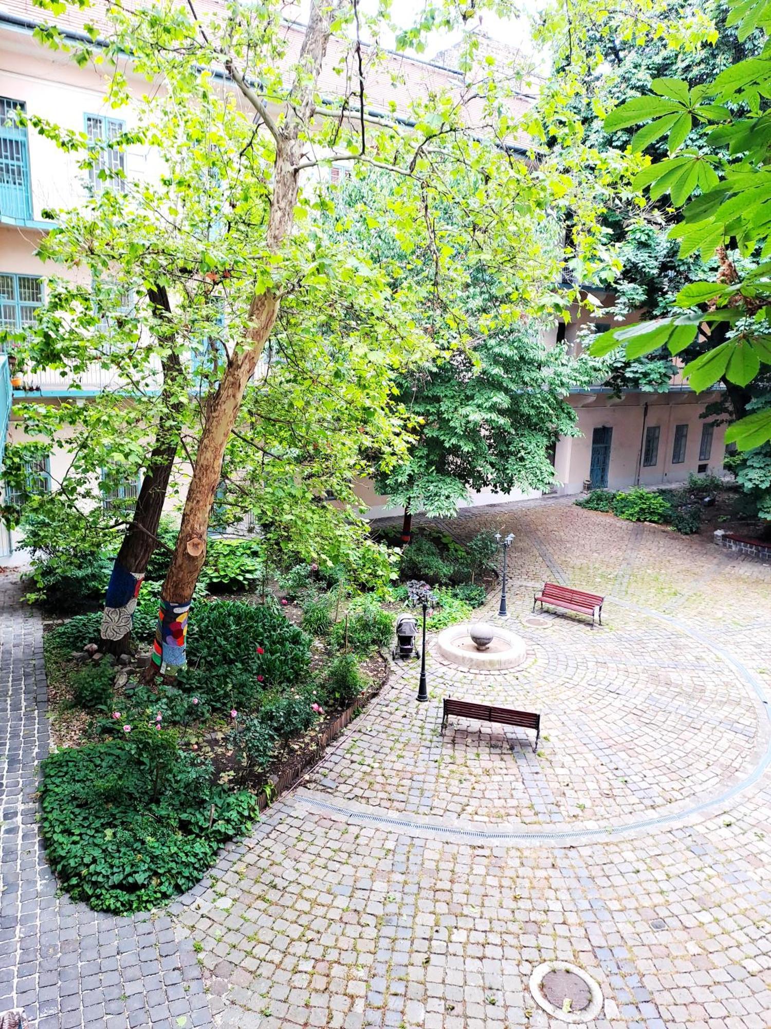 Cozy & Downtown Apartament *